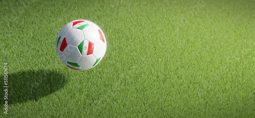 Football or soccer ball design with flag of Iran against grass pitch backdrop. 3D rendering