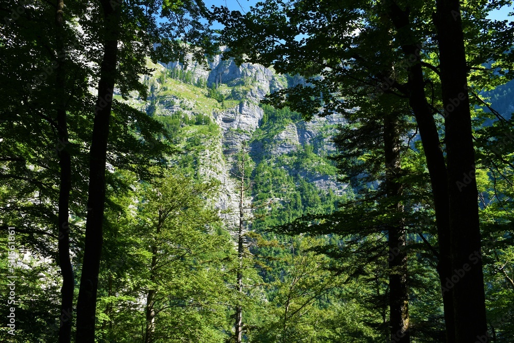 Obraz premium Vertical rock wall bellow Komarča in Julian alps, Slovenia