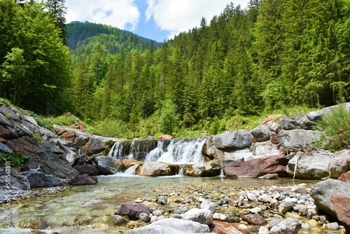 Small waterfall in valle Riofreddo in Comune di Tarvisio in Italy and mixed conifer and broadleaf forest covering the slopes above