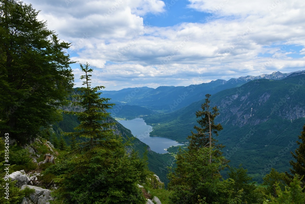 View of Bohinj lake in Julian alps and Triglav national park in Slovenia