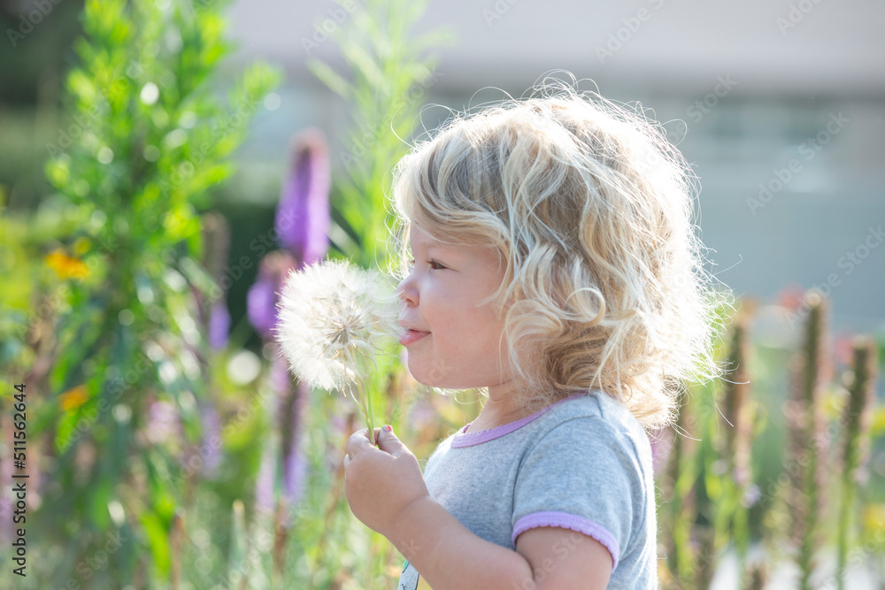 Child blowing dandelion seeds in her backyard during the summertime Child blowing dandelion seeds in her backyard during the summertime
