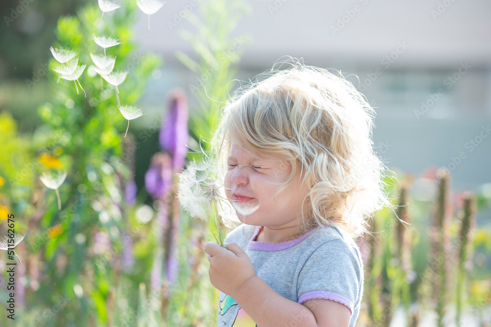 Child blowing dandelion seeds in her backyard during the summertime Child blowing dandelion seeds in her backyard during the summertime