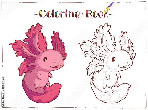 Axolotl, a Coloring Sheet. Cartoon outline picture of playful baby axolotl with colored example. A colouring book page. Contour illustration for children preschool education. Home activity for kid.