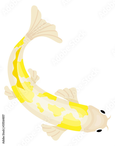 Japanese garden fish. Decorative koi pond carp