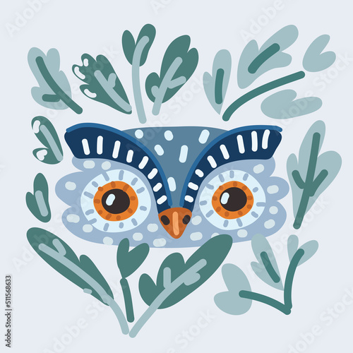 Vector illustration of owl head face
