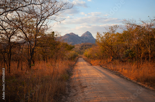 Niassa Special Reserve Mozambique