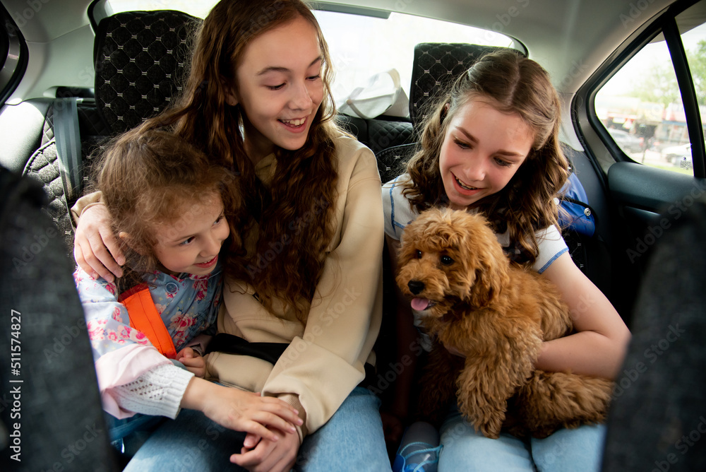 Three cute girls and dog in the car. Three cute girls and dog in the car.