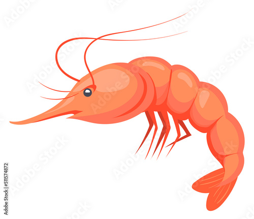 Cartoon shrimp icon. Sea animal. Seafood sign