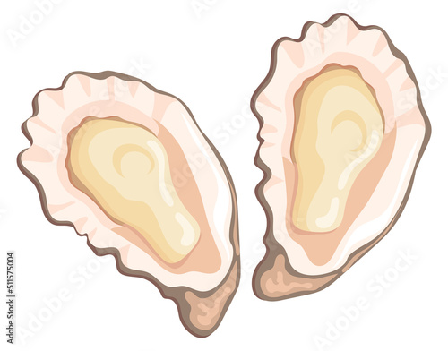 Cartoon oysters. Seafood restaurant raw snack icon