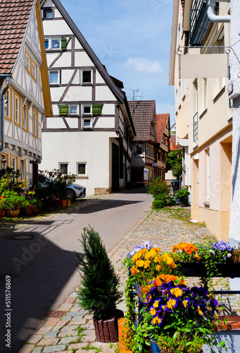Idyllic narrow street with flowers in Herrenberg  black forest  Germany
