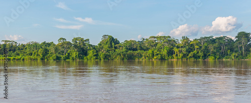 Amazon rainforest panorama along the Aguarico river, Cuyabeno wildlife reserve, Ecuador.