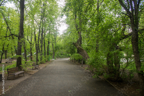 path in the park