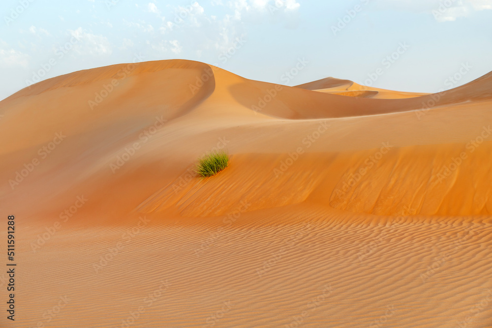 Natural landscape of the orange color sand dunes in the desert in Abu Dhabi in UAE
