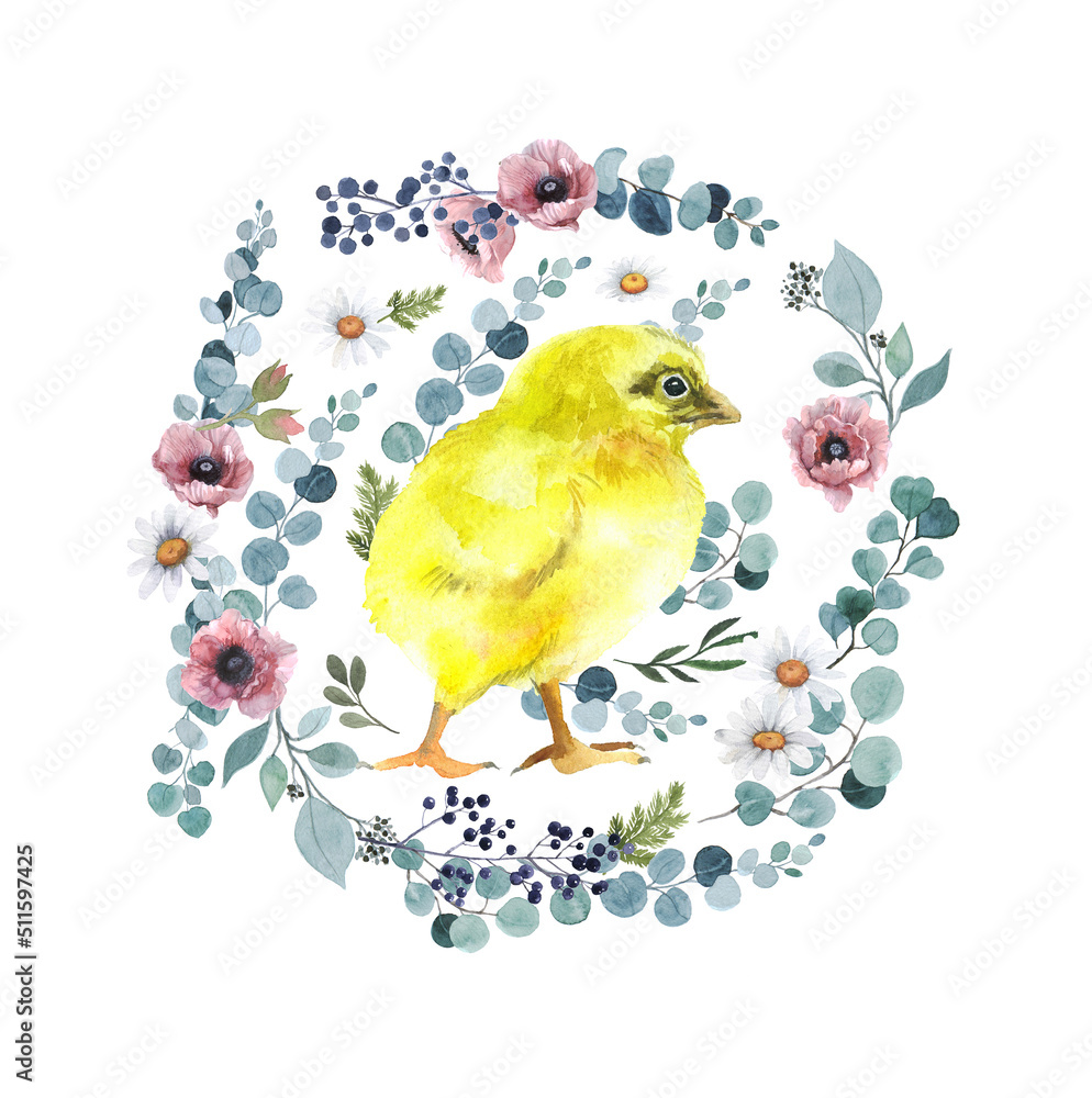 Watercolor chickens with flowers. meat brown livestock. child orange element. chickens painting. chicken farm object. easter egg drawn invitation. baby holiday yellow chicken.