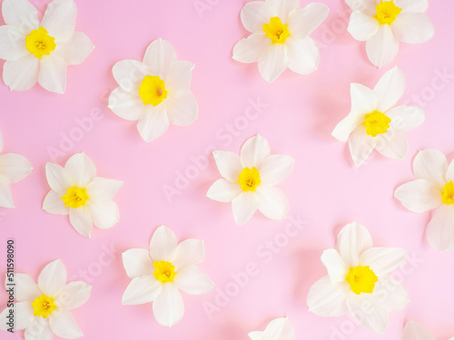 gentle background with flowers of daffodils. Template for greeting card  invitation.copy space