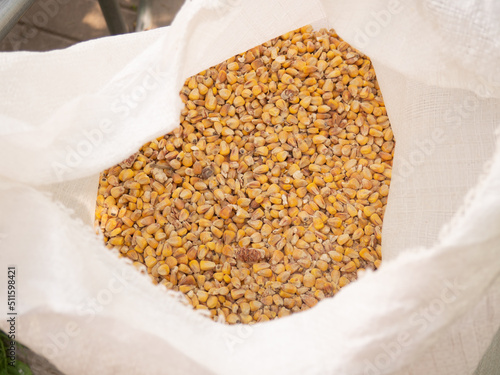a bag of corn for chickens, corn grains in a bag, animal feed