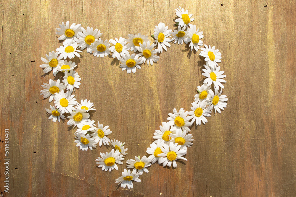 Obraz premium heart of daisies