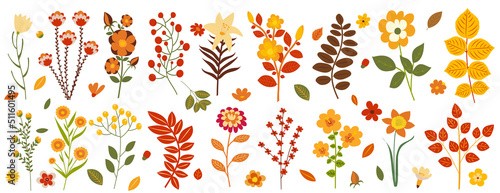 set of autumn flowers and plants in flat design