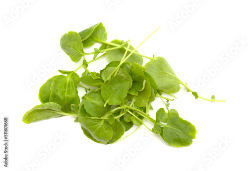 small green leaves of watercress salad isolated on white background
 photo