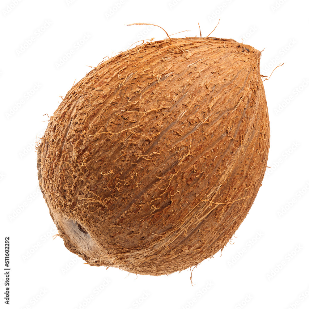 Ripe cocoa closeup isolated on white background Ripe cocoa closeup isolated on white background