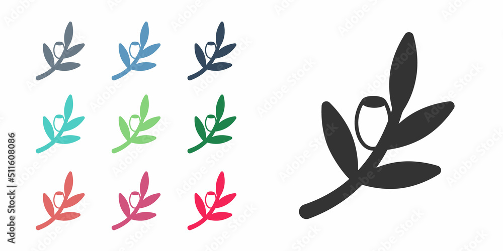 Black Olives branch icon isolated on white background. Set icons colorful. Vector Black Olives branch icon isolated on white background. Set icons colorful. Vector