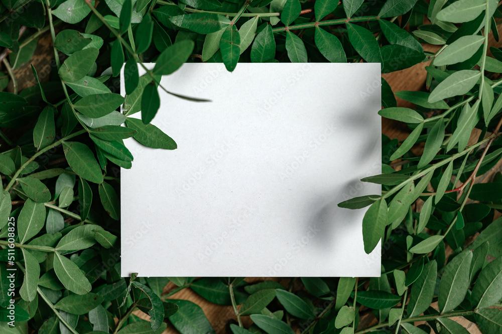 Paper Card Mockup on a Green Leaves for design of invitation, advertising card. Paper Card Mockup on a Green Leaves for design of invitation, advertising card.