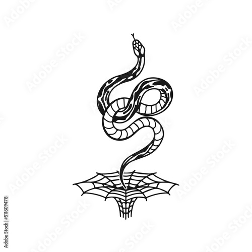 vector illustration of snake with spider web
