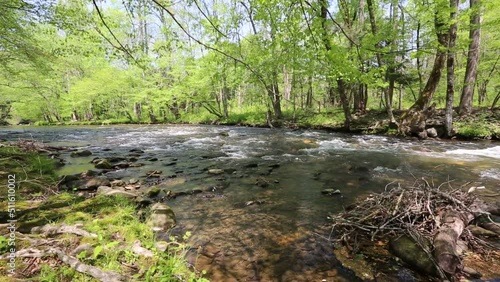Landscape with Oconaluftee River - North Carolina photo