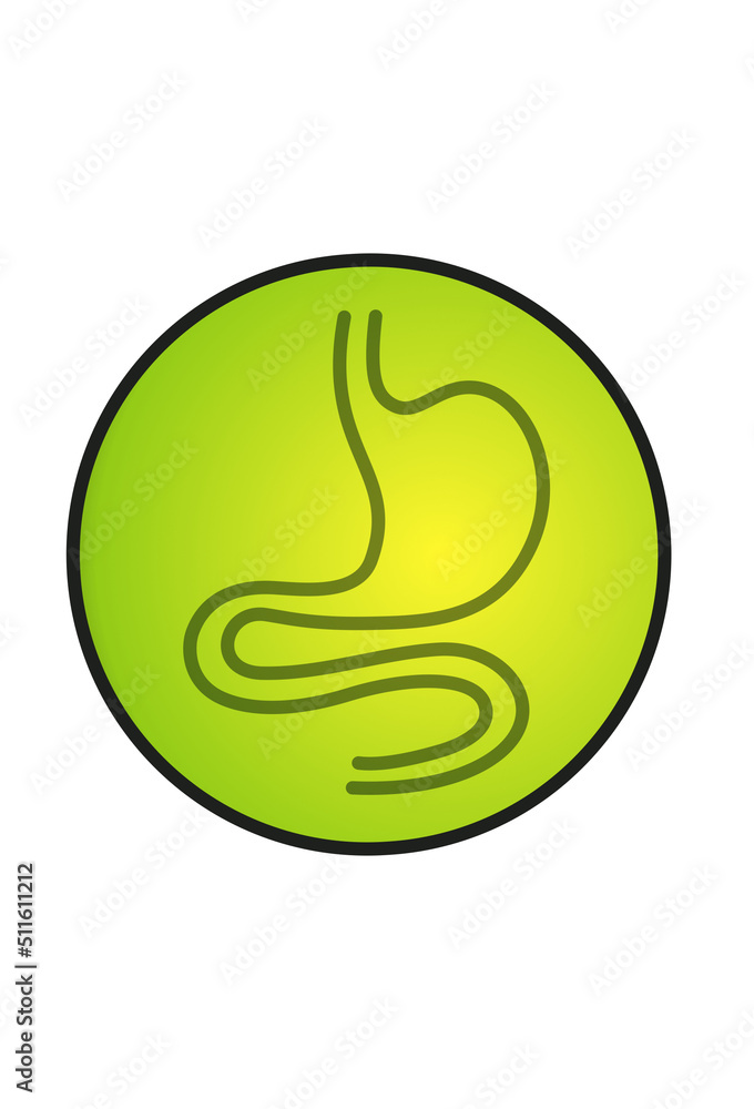 human stomach icon, emblem in health, stomach in green circle human stomach icon, emblem in health, stomach in green circle