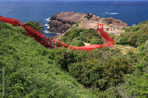 美しい赤色の連立鳥居と日本海の青い海　山口県長門市の元乃隅神社