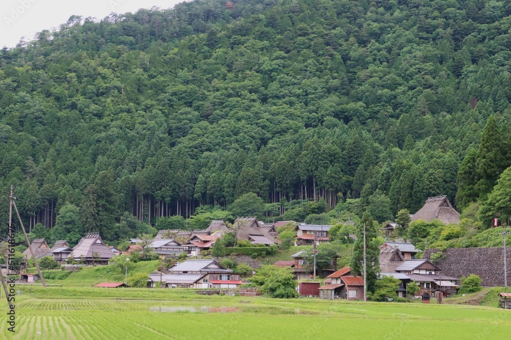 A scene of Japanese traditional houses with a thatched roof in the preserved area of them and Yura-gawa River in Miyama Town in Nantan City in Kyoto Prefecture in Japan 日本の京都f府南丹市美山町にある萱葺の家々保存地区の風景