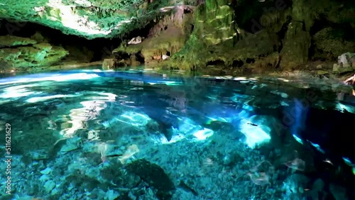 Blue turquoise water limestone cave sinkhole cenote Tajma ha Mexico.