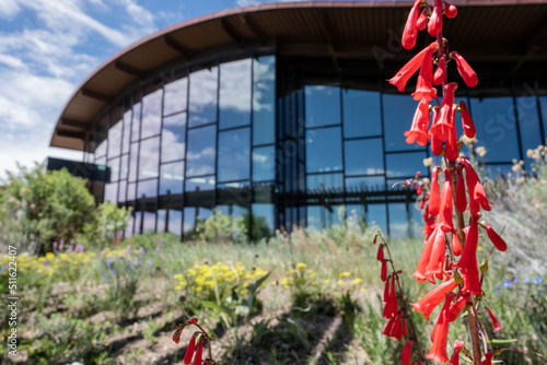 Cuadro en lienzo Red Blooms In Front Of Mesa Verde Visitor Center