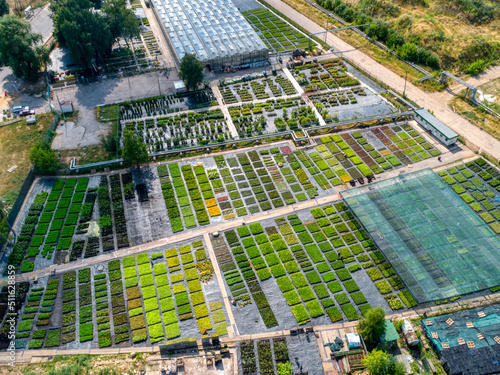 Canvastavla Nursery garden with lush plants on beds and in greenhouses