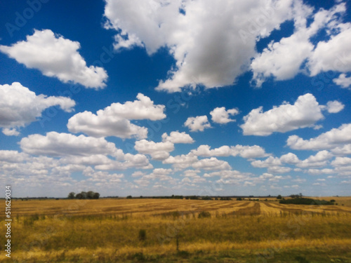 Blue Sky with White Clouds Over a Golden Field
