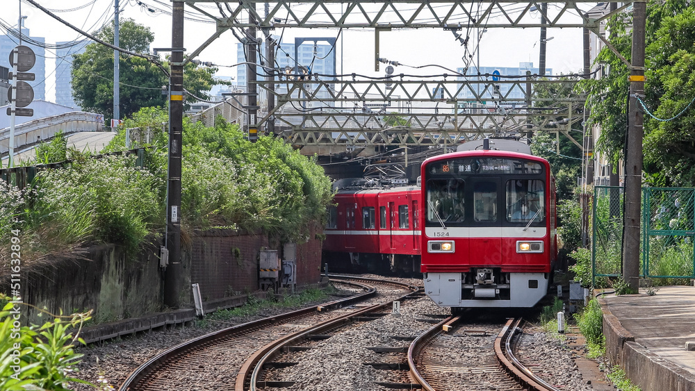 Naklejka premium 六郷土手付近を走る電車