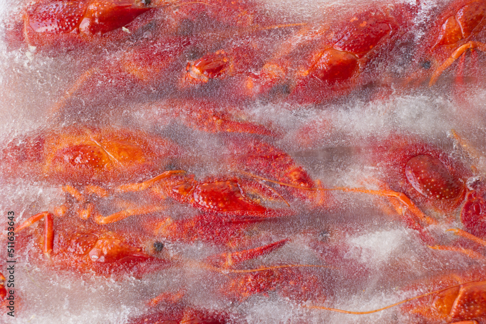 Red lobsters in the ice. Frozen foods. Luxury fresh seafood. Fresh
