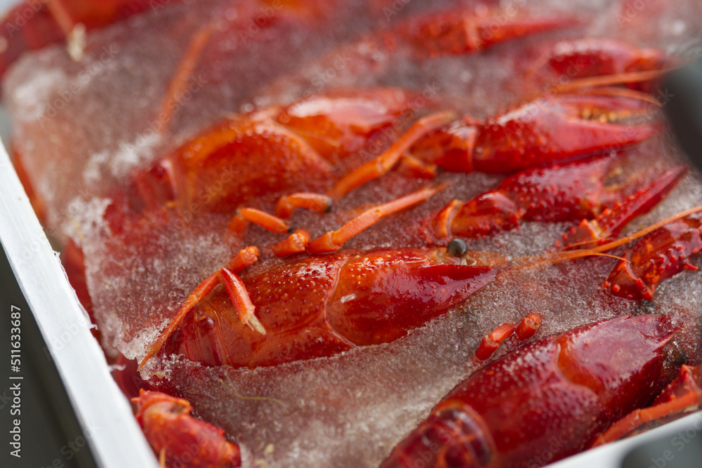 Red lobsters in the ice. Frozen foods. Luxury fresh seafood.  Fresh frozen seafood.