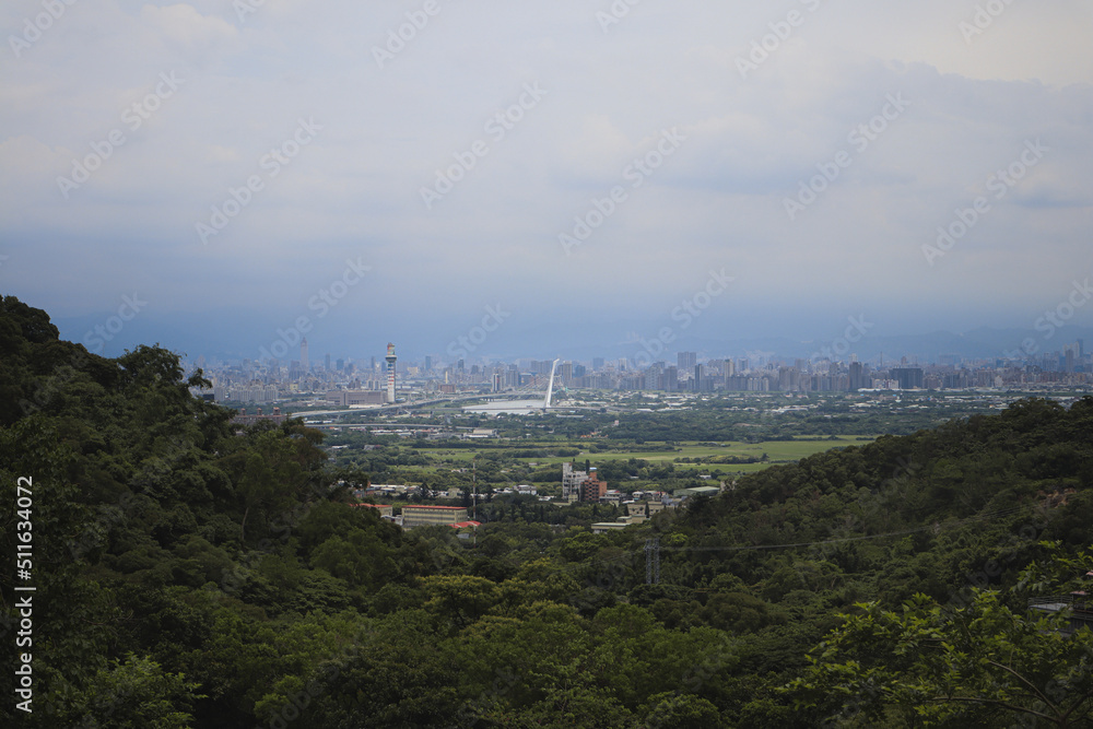 view of the city from the top of the hill