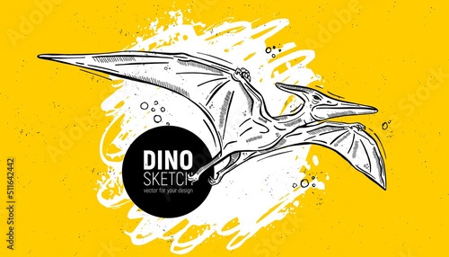 Hand drawn dinosaur sketch. Pteranodon