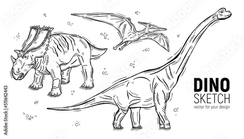 Set of hand-drawn dinosaur sketches. Diplodocus, triceratops and pteranodon