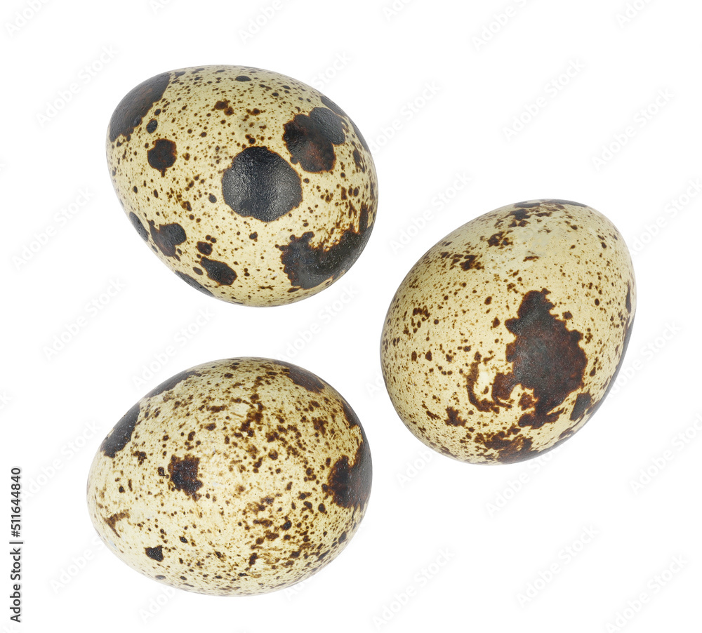 pile of quail eggs. isolated. with clipping path. pile of quail eggs. isolated. with clipping path.