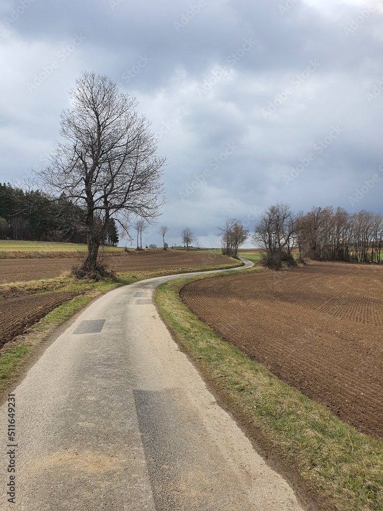 Small and narrow road winding through rural landscape in lower austria
