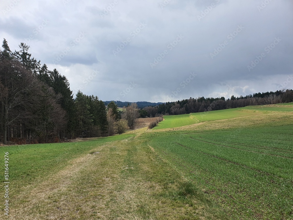 Rural landscape in lower austria. Waldviertel. Austria. 