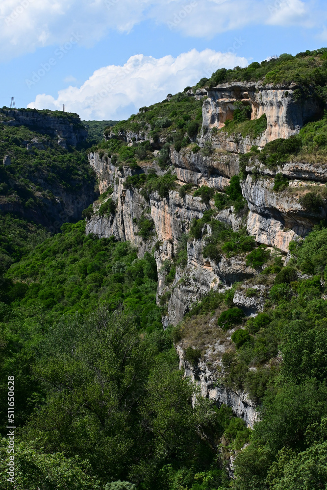 Fototapeta premium Minerve, cité historique, haut-lieu cathare d'Occitane en Languedoc-Roussillon : village, ruelles, remparts, canyon, colombe