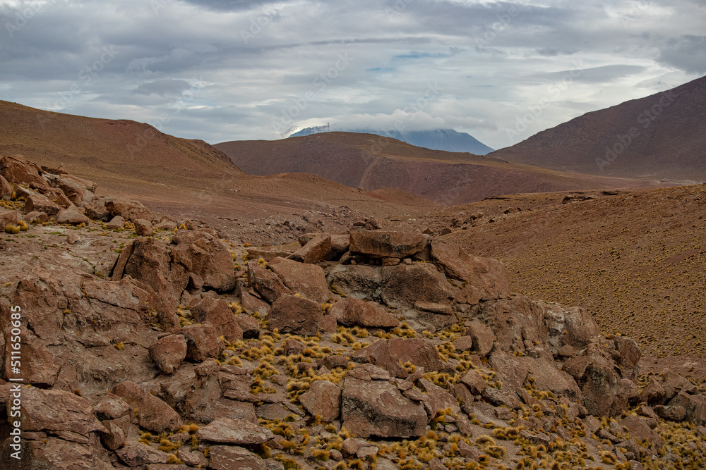 Desert
Chile
El tatio
Gaizer
Water
Agua
Vapor
Atacama
Calama