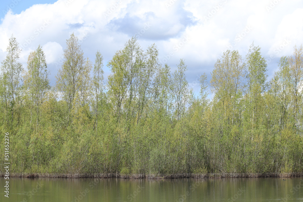 Obraz premium British nature