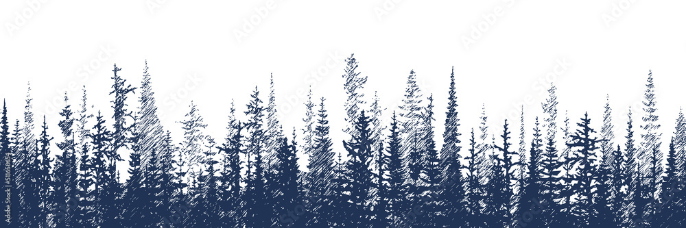Vector sketch, banner. Forest, imitation of a pencil drawing.	