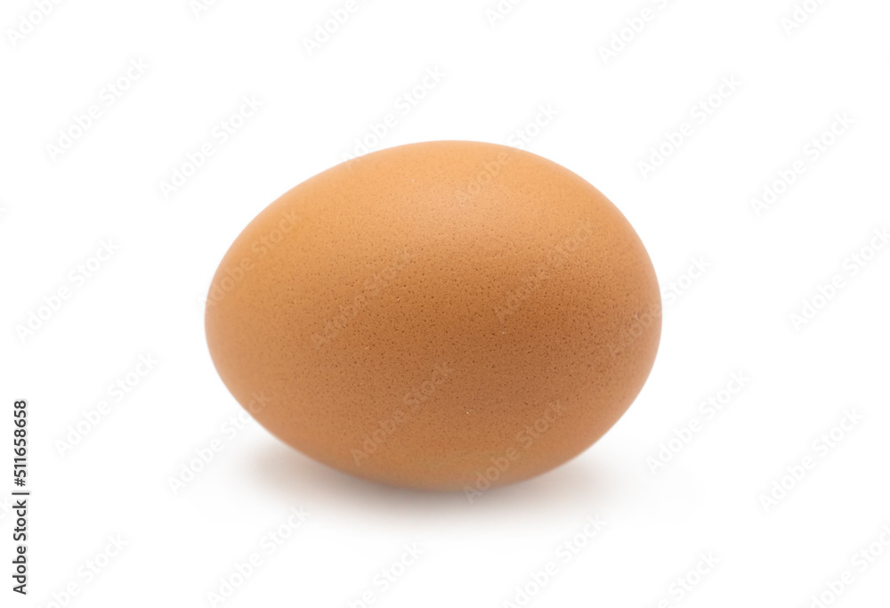 single chicken egg isolated on white a background single chicken egg isolated on white a background