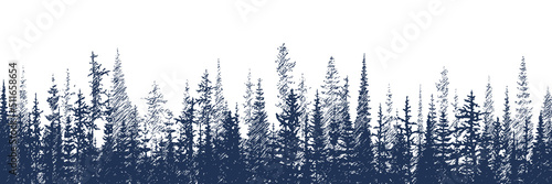 Vector sketch, banner. Forest, imitation of a pencil drawing. Fototapet
